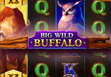 Автомат Big Wild Buffalo в KTO казино